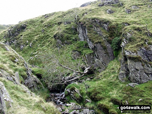 Mere Beck from Broadstone Head 