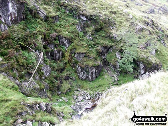 Mere Beck from Broadstone Head 