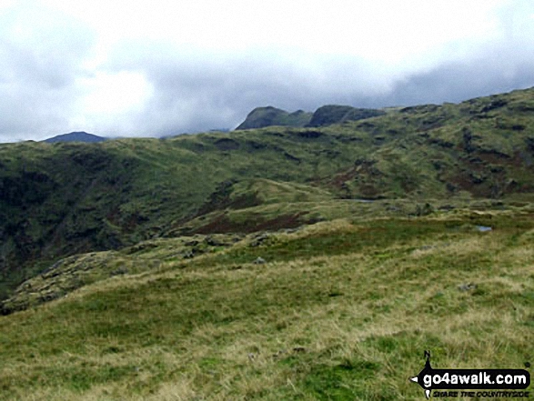 The Langdale Pikes from Tarn Crag 