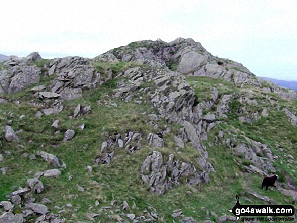 Approacing Helm Crag summit 