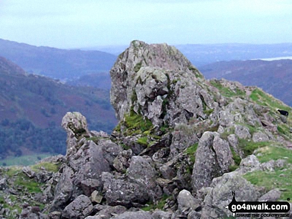 The Lion and The Lamb on Helm Crag