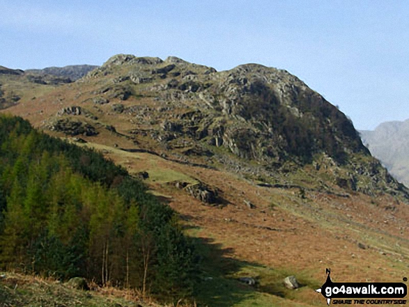 Walk c258 Pike of Blisco (Pike o' Blisco) from The Old Dungeon Ghyll, Great Langdale - Kettle Crag from Redacre Gill