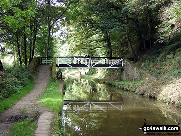 Walk s191 Consall Forge and The Caldon Canal from Froghall Wharf - Caldon Canal - Heading West