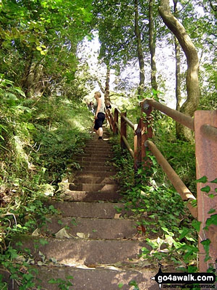 Walk s110 Consall Forge and The Caldon Canal from Ipstones - The 200 steps of the Devil's Staircase