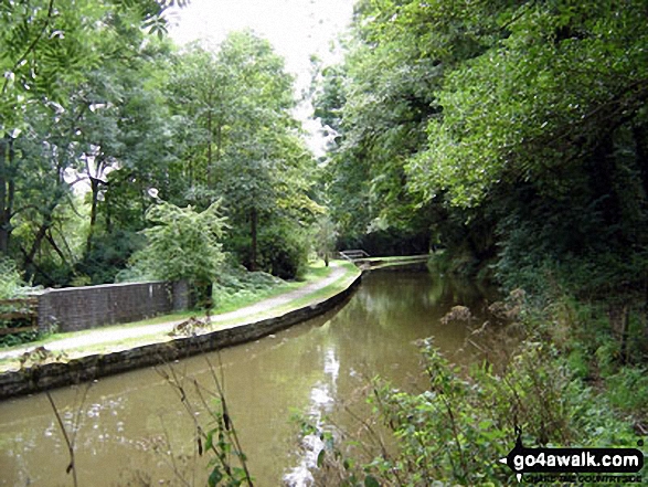 Walk s110 Consall Forge and The Caldon Canal from Ipstones - Caldon Canal at Froghall Wharf