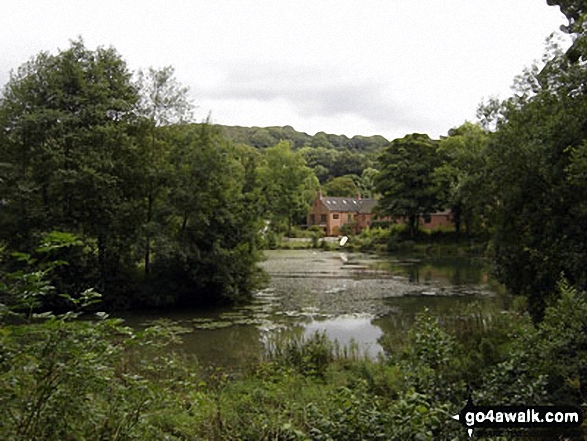 Walk s191 Consall Forge and The Caldon Canal from Froghall Wharf - The small lake nr Froghall Wharf