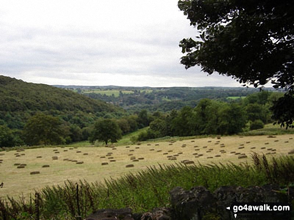 Walk s157 Foxt and Oldridge Pinnacle from Froghall Wharf - View South West from Foxt Village