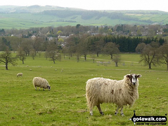 Walk d297 Birchen Edge, Nelson's Monument and Wellington's Monument from Baslow - Baslow Village from Chatsworth Park