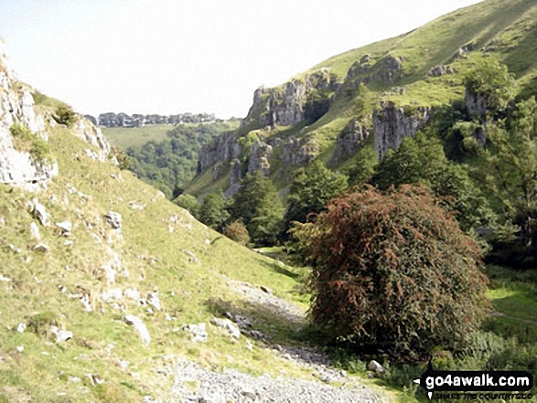 Walk d318 Beresford Dale, Alstonefield and Wolfescote Dale from Hartington - Beresford Dale