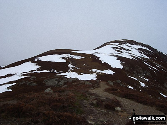 On Green Hill (Glen Clova) above Loch Brandy 