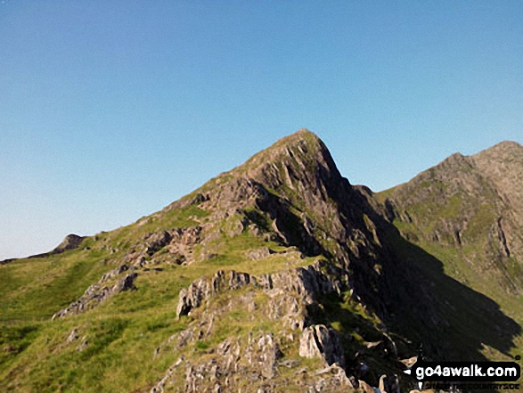 Y Lliwedd Bach (centre), Y Lliwedd (East Top) and Y Lliwedd (far right) from the north east ridge