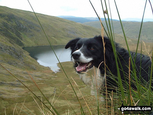 Pen Pumlumon Fawr (Plynlimon)  the highest point in Mynyddoedd Cambria (The Cambrian Mountains) Photo: Tony Bond