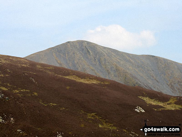 Walk c447 The Skiddaw Massif from Millbeck, nr Keswick - Skiddaw from the summit of Dodd (Skiddaw)