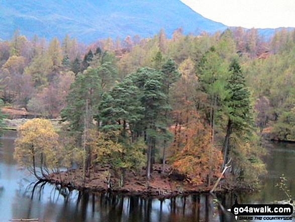 Walk c121 Tarn Hows and Yew Tree Tarn from Tom Gill - Tarn Hows