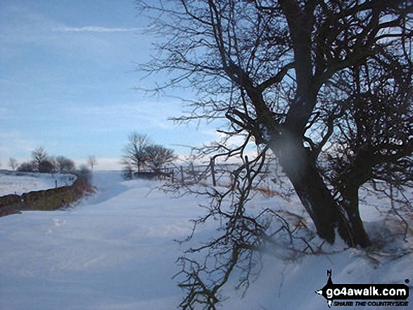 Walk d103 Cobden Edge, Mellor, Rowarth and Brook Bottom from Strines - Apple Tree Road - Blocked!