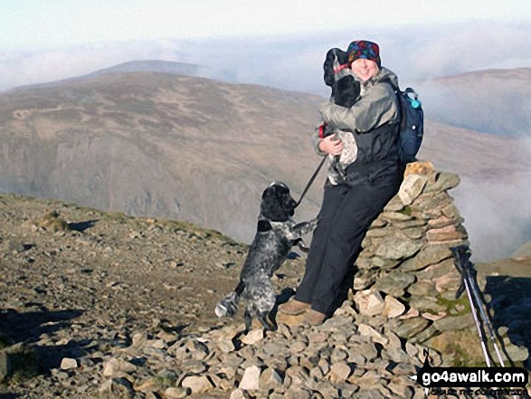 Walk c259 A Circuit of Thirlmere - Lesley and the 2 Cocker Spaniels, Millie and Monty, on Helvellyn in November 2011