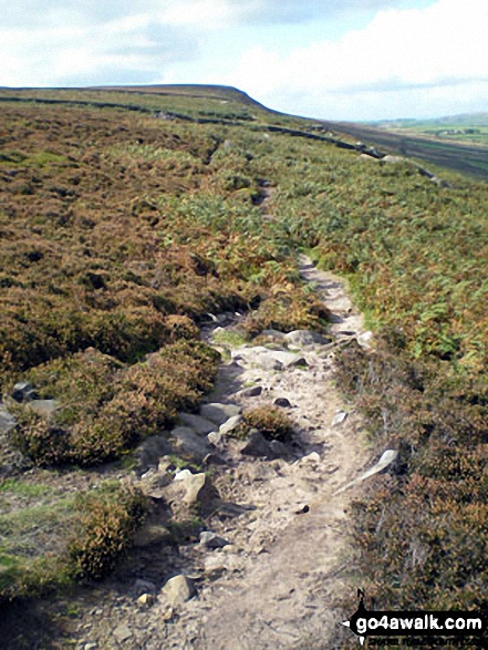 Walk wy102 West Buck Stones and Rombalds Moor (Ilkley Moor) from Ilkley - Climbing High Moor from the Swastika Stone