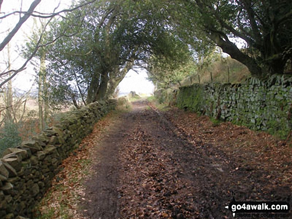 Walk l133 Black Moss Reservoir from Barley - Bridleway near Barley