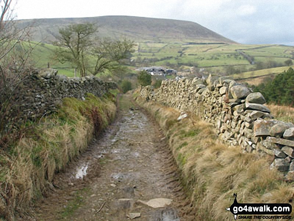 Walk l112 Pendle Hill via Boar Clough from Barley - Bridleway near Barley