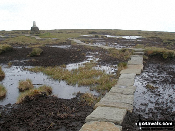 Walk n119 The Cheviot and Cairn Hill from Harthope Burn Velley - Approaching the summit of The Cheviot