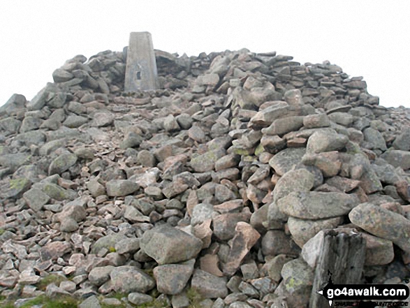 Hedgehope Hill summit 