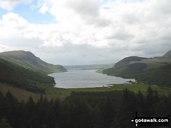 Ennerdale Water from Lingmell Plantation