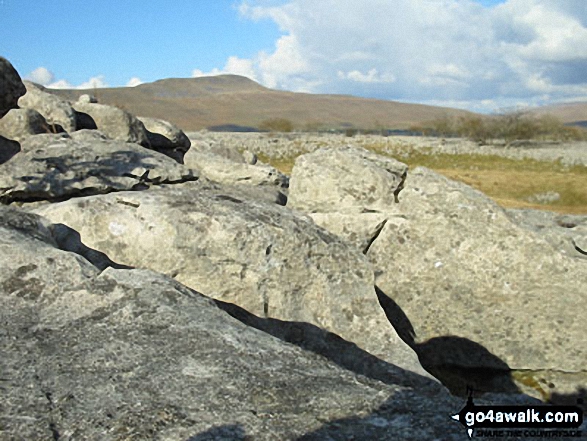 Whernside from nr Broadrake Farm