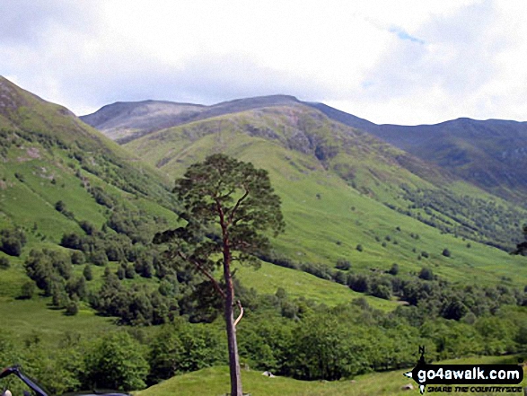 Glen Nevis from Glen Nevis Youth Hostel 