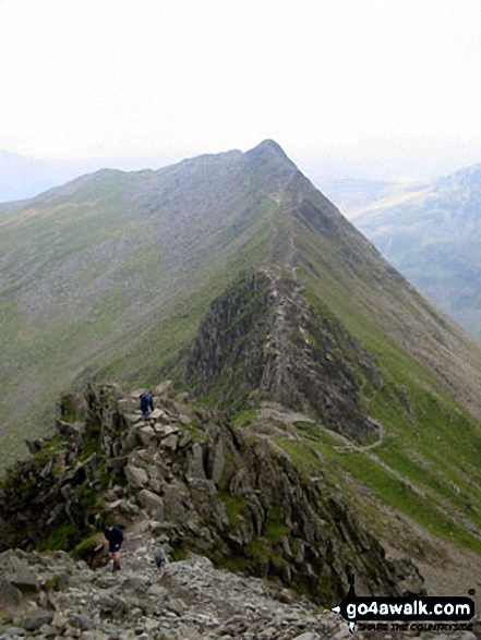 Walk c220 Helvellyn via Striding Edge from Glenridding - On Striding Edge