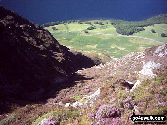 Walk c366 Grasmoor and Whiteless Pike from Lanthwaite Green - Lorton Gully, Grasmoor