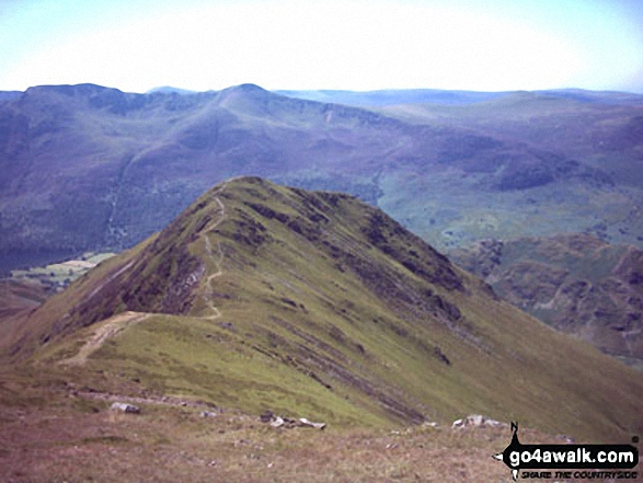 Walk c256 Grasmoor Ridge and Whiteless Pike from Lanthwaite Green - Whiteless Pike from above Wandope