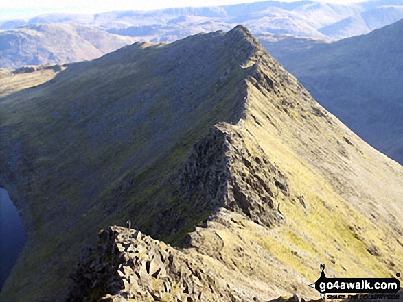 Walk c220 Helvellyn via Striding Edge from Glenridding - Looking down to Striding Edge from Helvellyn