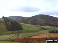 Culter Fell, one of Scotland's 'Grahams'