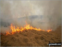 Moorland fires and the Met Office Fire Severity Index