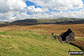 Ruin near Skeggles Water with Ancrow Brow (Swinklebank Crag) and Ancrow Brow (North East Top) beyond