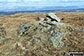 The summit cairn on Kit Crag (Naddle Forest)