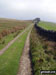 The Coast to Coast Walk up Hartley Fell towards Nine Standards Rigg