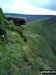 The obligatory diving board photo on Fan y Big with Cribyn beyond