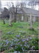 Doddington Church with the Bluebells in bloom