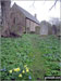 Doddington Church in the spring