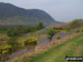 Looking across the bluebells and Crummock Water towards Mellbreak from Rannerdale Knotts