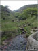 Gully near Chew Reservoir