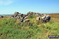 Ruin/shelter on Black Edge (Combs Moss)