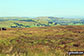 Looking East across the Peak Dale valley from Black Edge (Combs Moss)