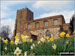 West Haddon with the Daffodils in Bloom