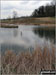 Small Lake in the conversation area near Foxhill Farm, West Haddon