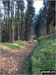 Hagg Side Woods