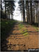 Path through Hagg Side Woods