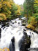 Falls of the Braan at the Hermitage, near Dunkeld