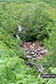 Allt na Faing